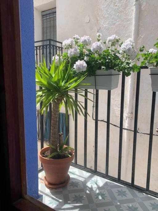 Casa Ziba Casco Antiguo Wifiaa Apartment Peniscola Exterior photo